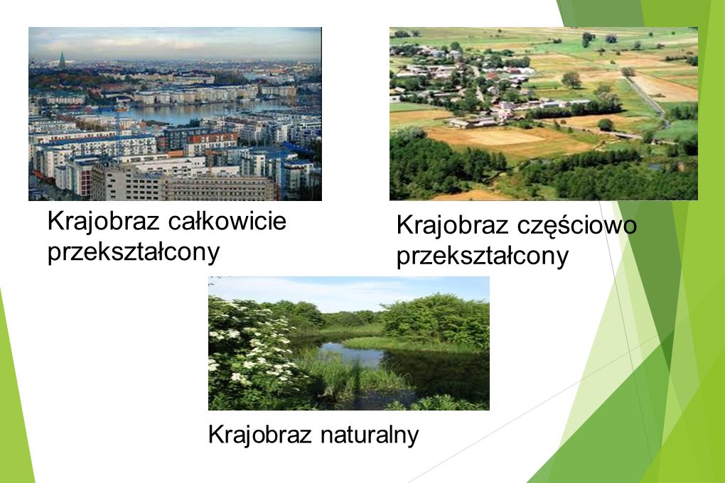 Ochrona Przyrody ścisła I Częściowa
