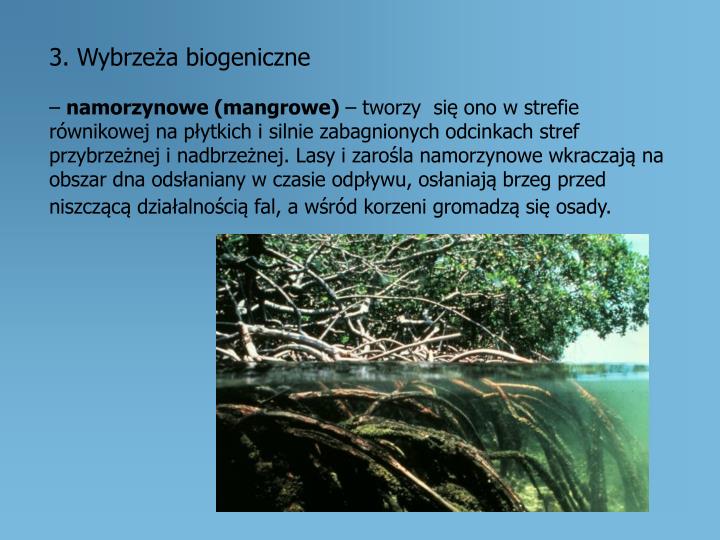 BLOG - GEOGRAFIA W SZKOLE Ochrona Przyrody ścisła I Częściowa