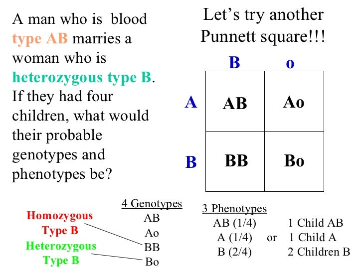 Blood Type Punnett Squares Worksheets Blood Type Punnett Square Worksheet Answer Key