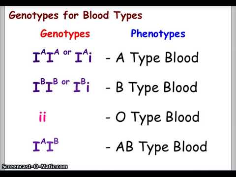 Blood Types and Punnett Squares - YouTube Każdemu Jego śmietnik Szkice O śmieciach I śmietniskach