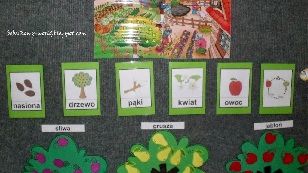 Boberkowy World : Cykl życia jabłoni i przekrój owoców- konspekt zajęć Od Kwiatu Do Owocu Historyjka Obrazkowa