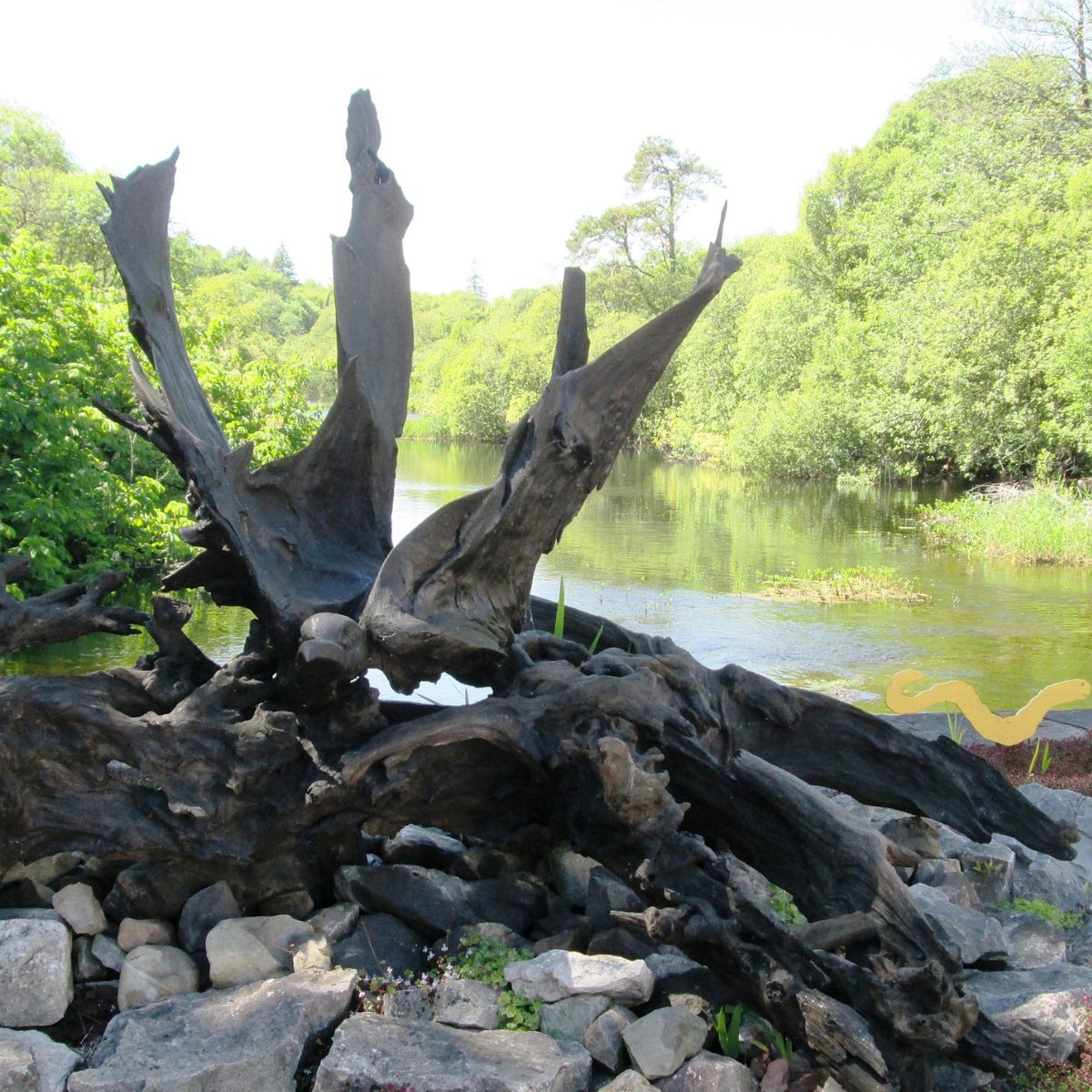 BOG OAK SCULPTURE (Cong): Ce qu'il faut savoir pour votre visite (avec Bog Polecil Mu Wyprowadzic Narod Z Niewoli