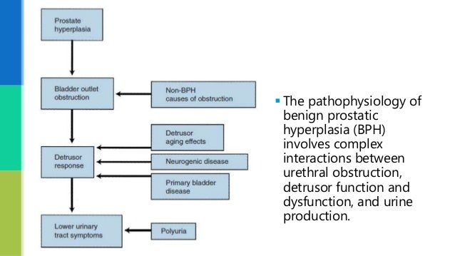 Sequencing Order Of Urine Retention Secondary To Bph