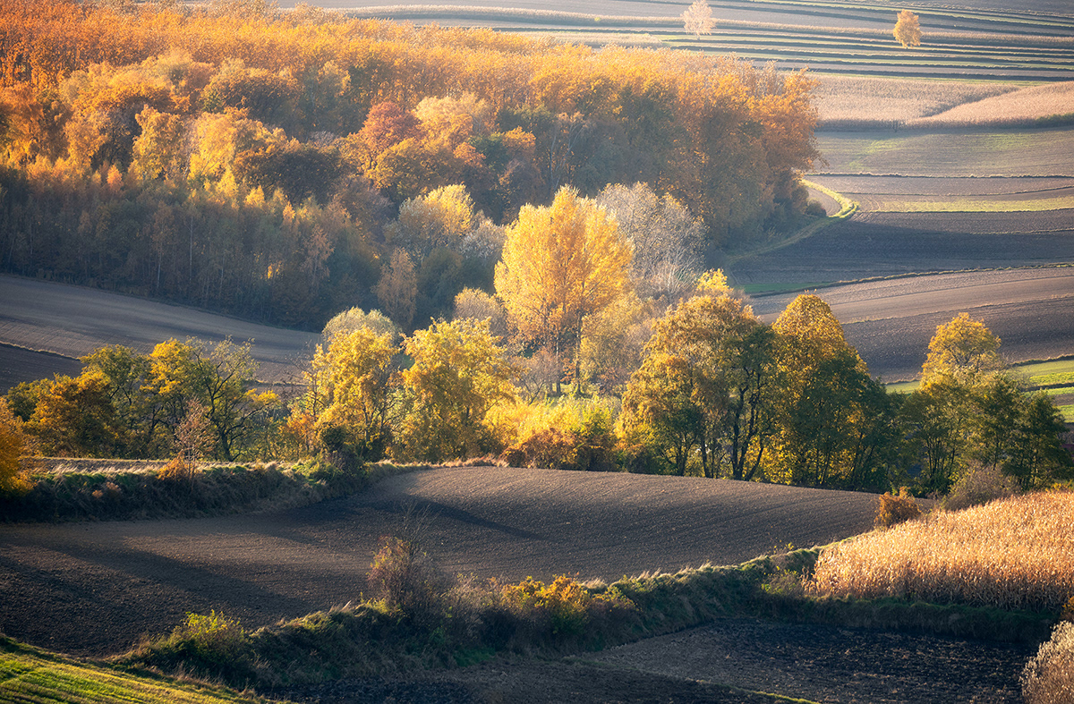 Breaking the waves. Autumn. Ponidzie. Poland :: Behance Obudzimy Sie Wtuleni W Poludnie Lata