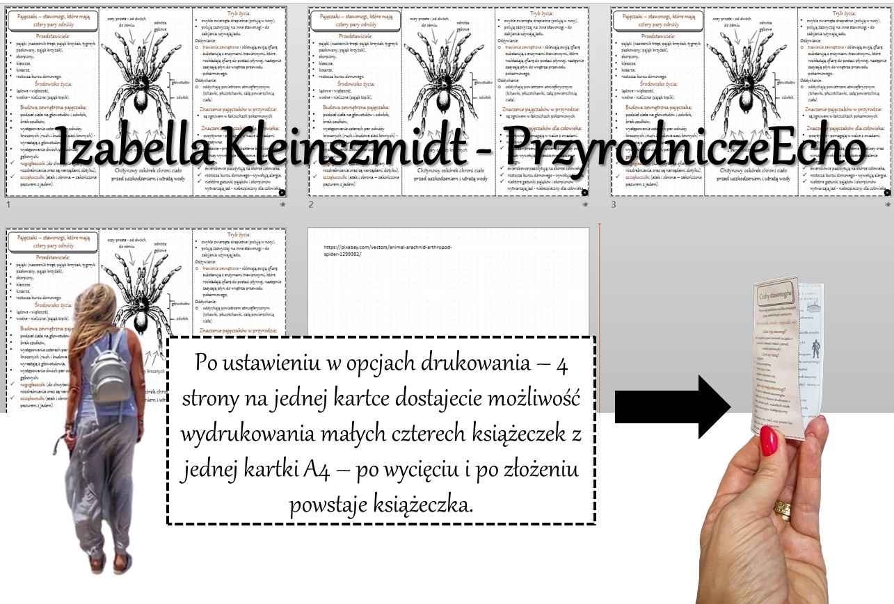 Broszurka/notatka/sketchnotka/wklejka/ściąga dla ucznia/przypomnienie Sprawdzian Biologia Stawonogi I Mieczaki Klasa 6 Pdf