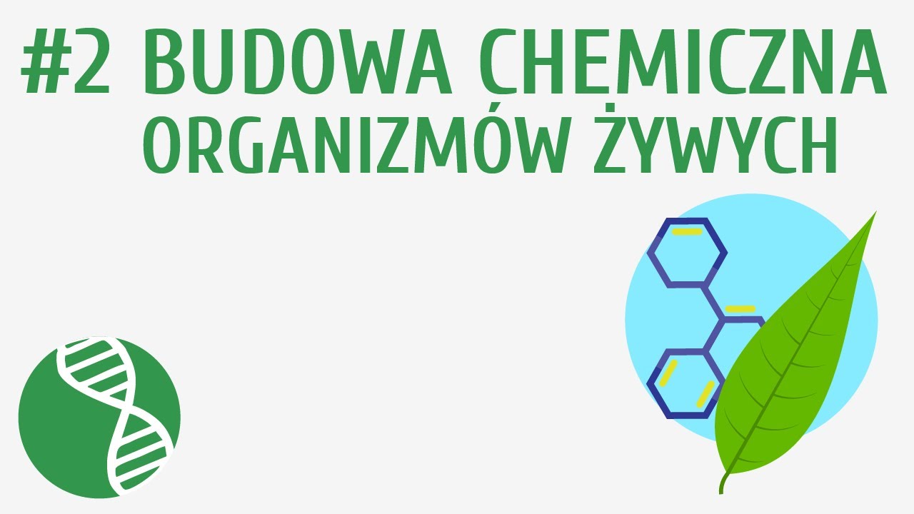Budowa chemiczna organizmów żywych #2 [ Organizacja i chemizm życia Organizacja I Przebieg Badań Pedagogicznych