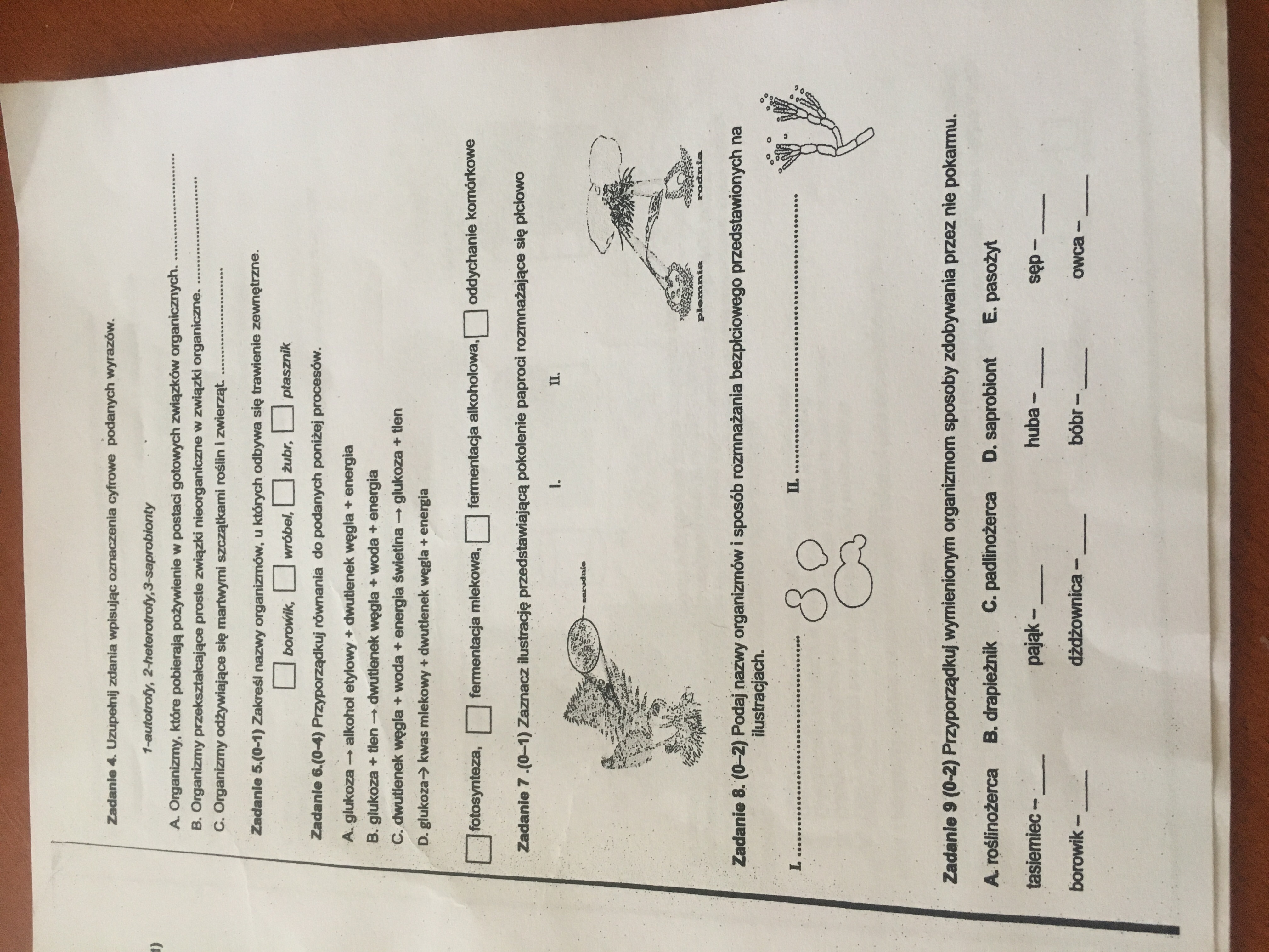 Budowa I Czynnoci Yciowe Organizmw Sprawdzian Klasa 5 Pdf - question Test Z Biologii Klasa 5