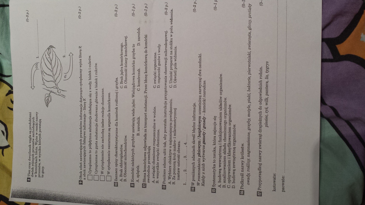 Budowa I Czynnoci Yciowe Organizmw Sprawdzian Klasa 5 Pdf - question Test Z Biologii Klasa 5 Komorkowa Budowa Organizmow