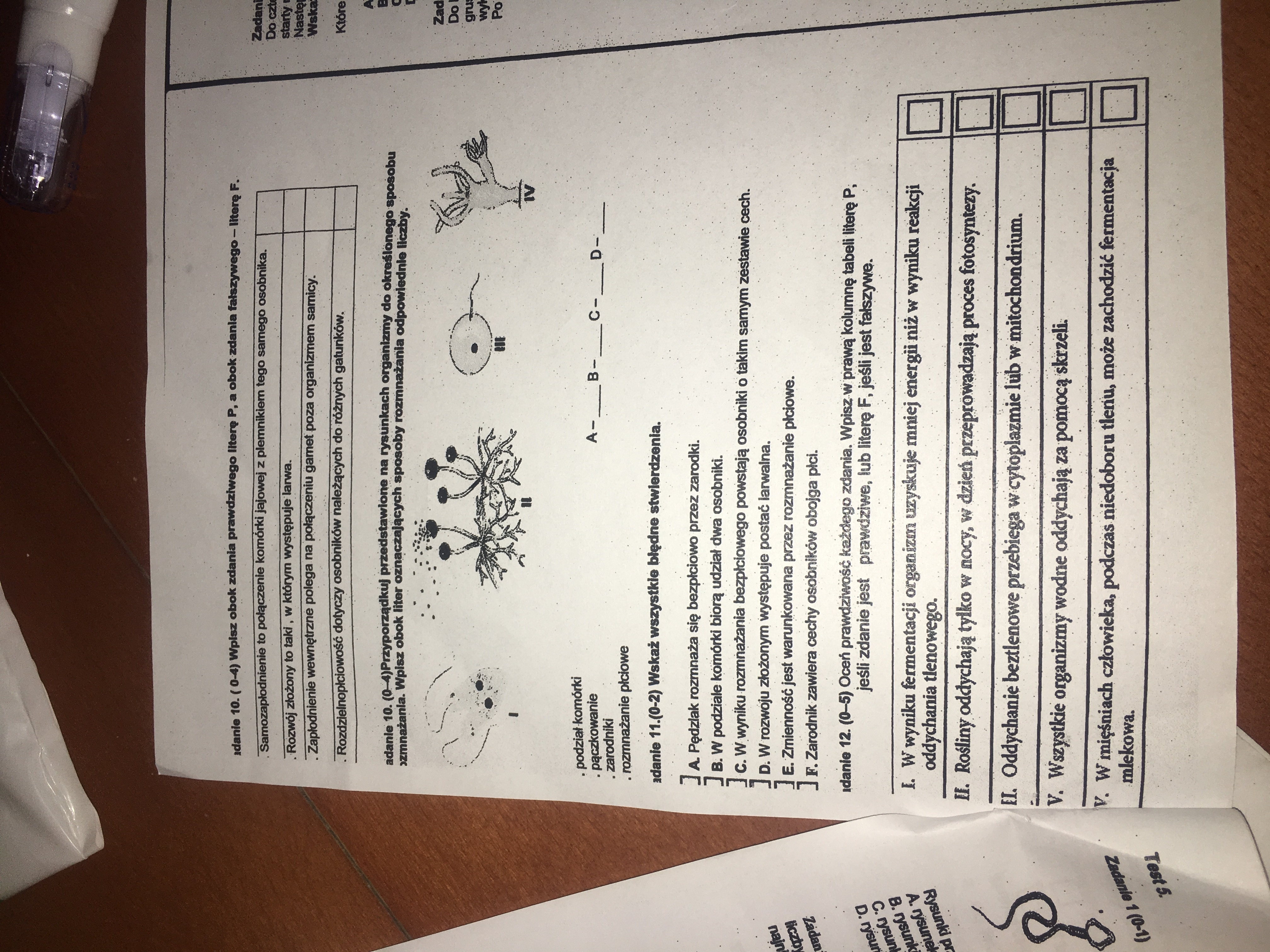 Budowa I Czynnoci Yciowe Organizmw Sprawdzian Klasa 5 Pdf - question Biologia Kl 5 Test Dzial 1