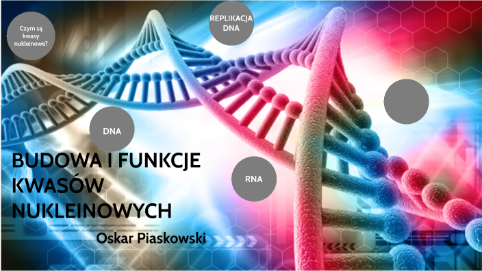 Budowa I Funkcje Kwasów Nukleinowych