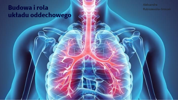 Budowa i rola układu oddechowego Wspólny Odcinek Układu Pokarmowego I Oddechowego