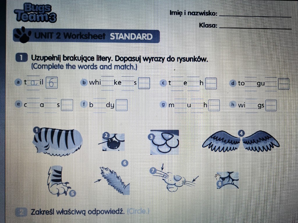 Bugs Team 2 Zeszyt ćwiczeń Odpowiedzi
