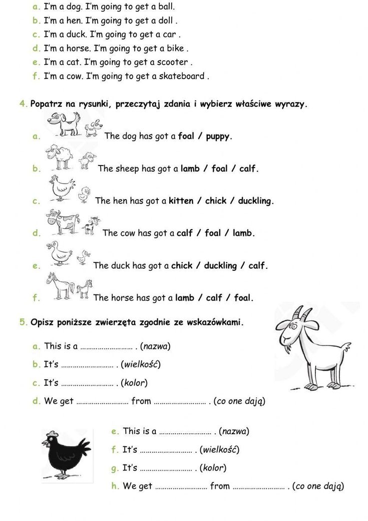 Bugs Team 2 Unit 2 Test worksheet Bugs Team 2 Testy Chomikuj