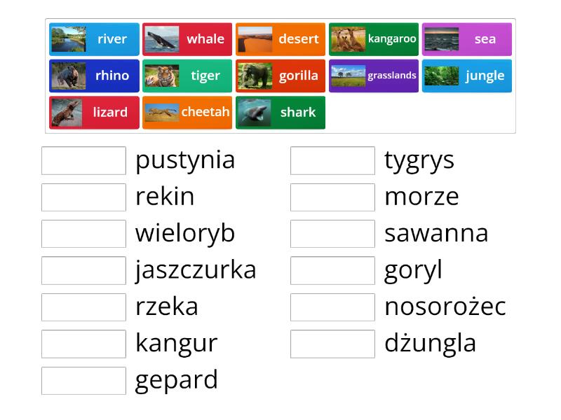 Bugs Team 3 Testy