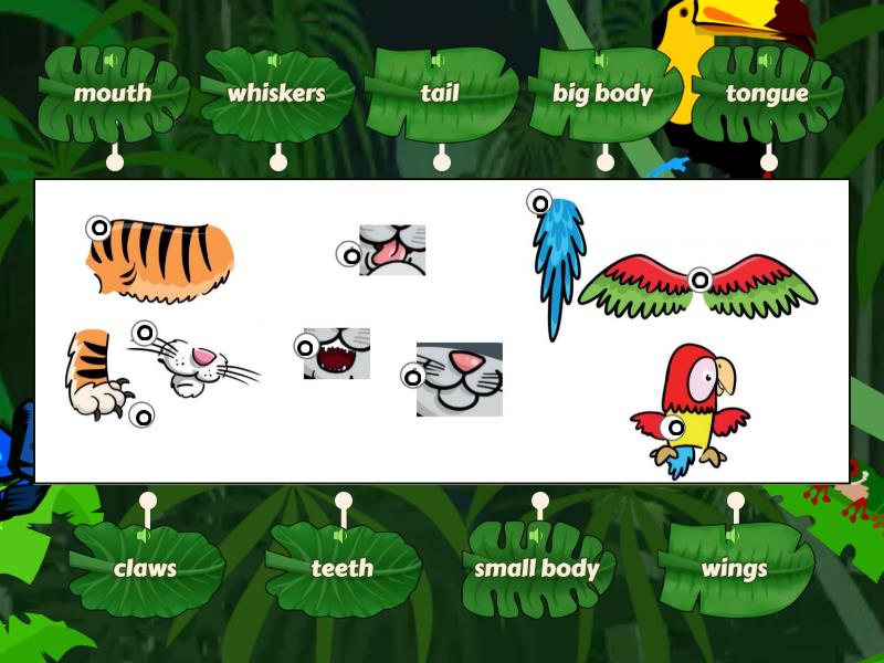 Bugs Team 3 Unit 2 - Labelled diagram Bugs Team 3 Unit 3 Test