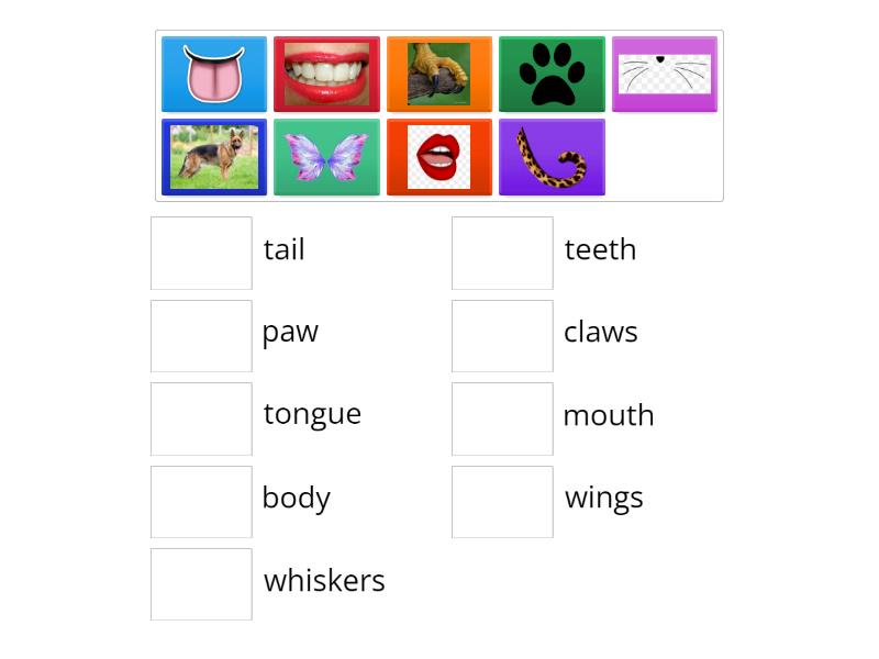 bugs team 3 unit 2 - Match up Bugs Team 3 Unit 3 Wordwall