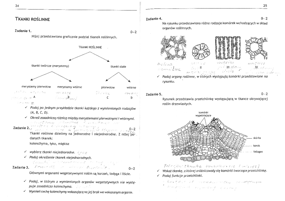 Bukała organy i tkanki zadania - 24 25 TKANKI ROSLINNE Zadanie 4. Na Test Z Biologii Tkanki Roslinne