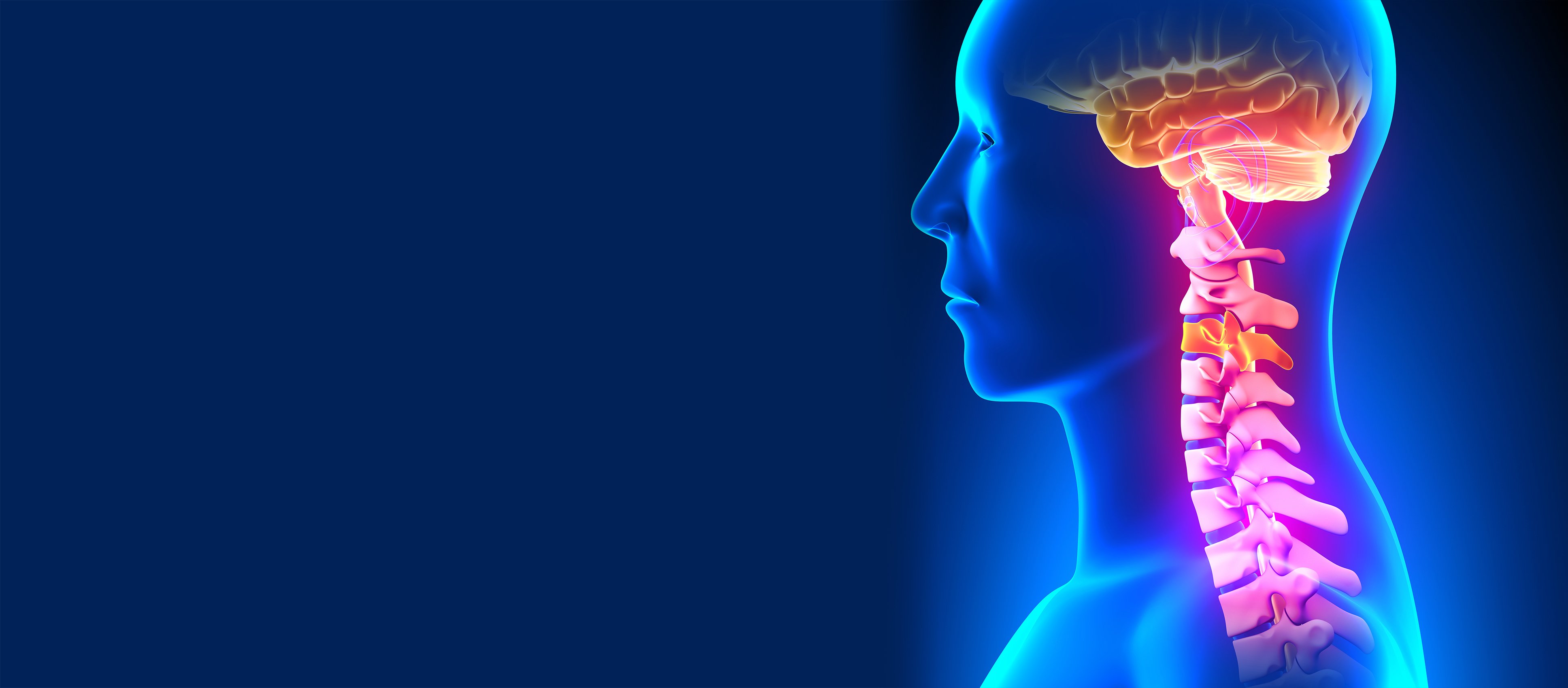 C3, C4, & C5 Vertebrae Spinal Cord Injury | SpinalCord.com Obniżone Napięcie Mięśniowe U Dwulatka