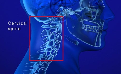 C3, C4, & C5 Vertebrae Spinal Cord Injury | SpinalCord.com Zapomoga Losowa Długotrwałą Chorobą Wzór