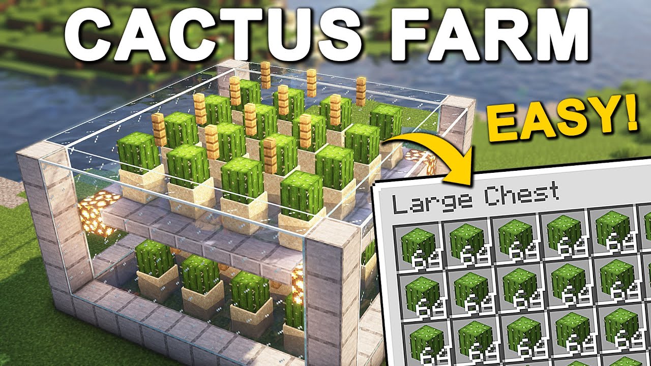 Cactus farm in Minecraft: how to build and make an automatic one How To Make A Farm In Minecraft
