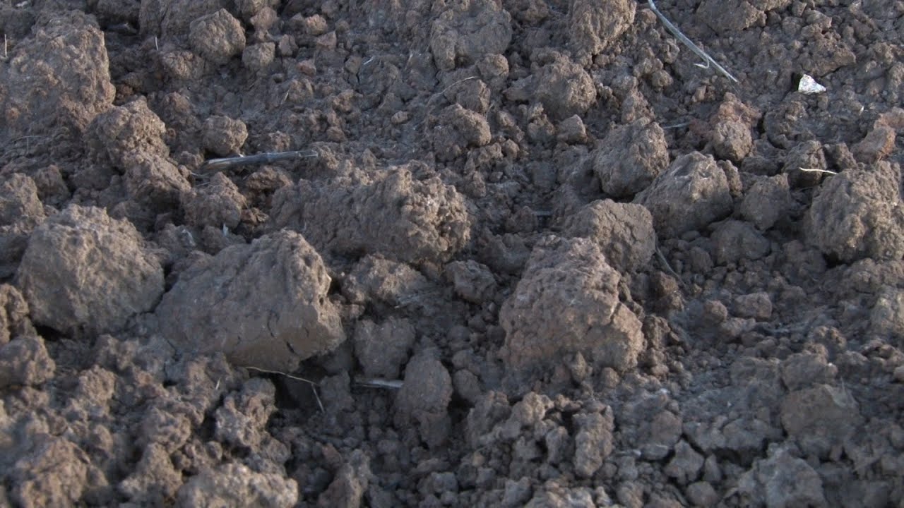Cadmium In Soils And Plants