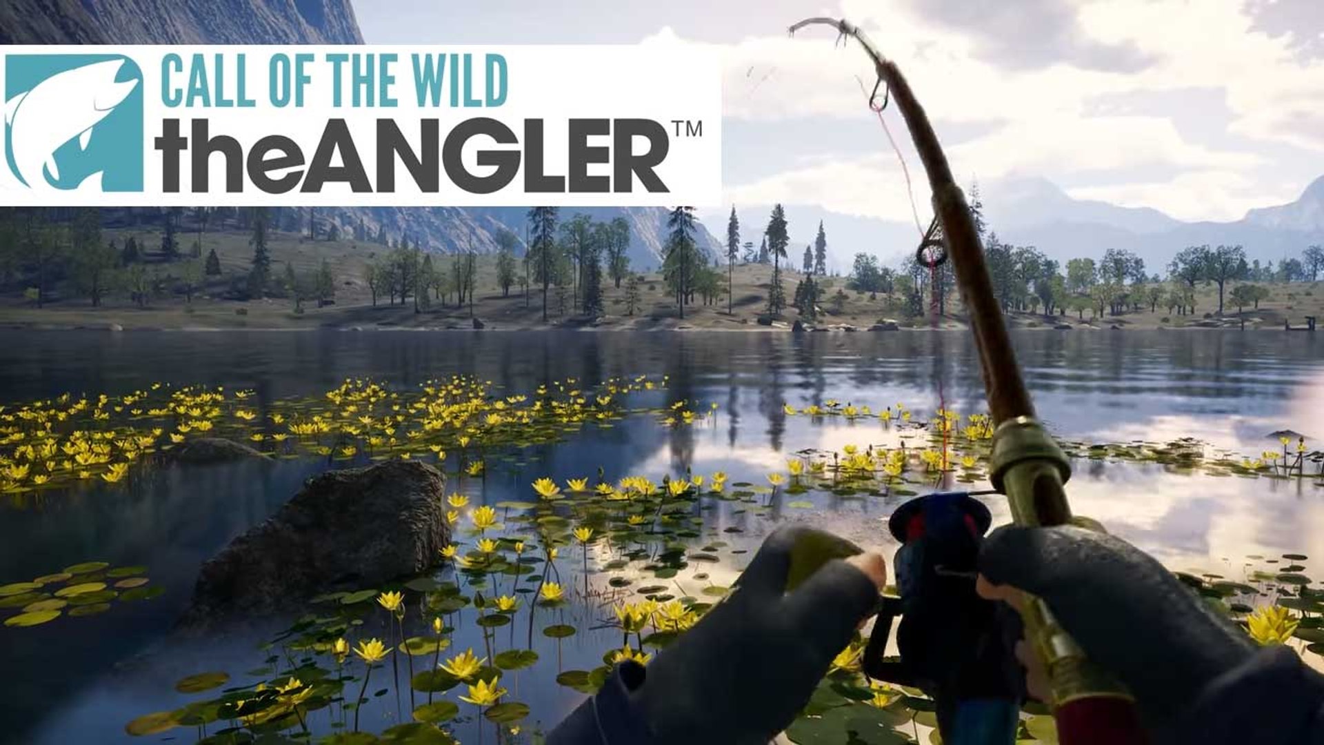 Call Of The Wild Section 2 Quiz
