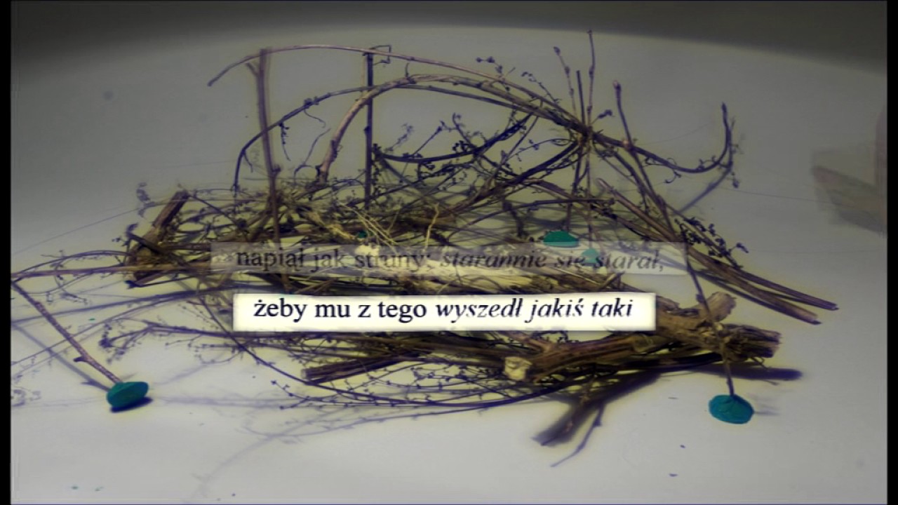 Celników Polskich 21 Biała Podlaska