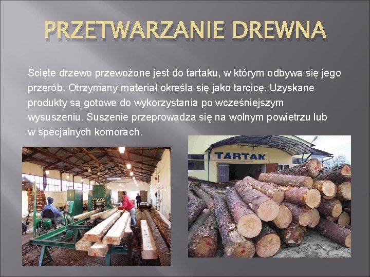 CENNY SUROWIEC CO TO JEST DREWNO Drewno surowiec Karta Pracy Cenny Surowiec Drewno Odpowiedzi