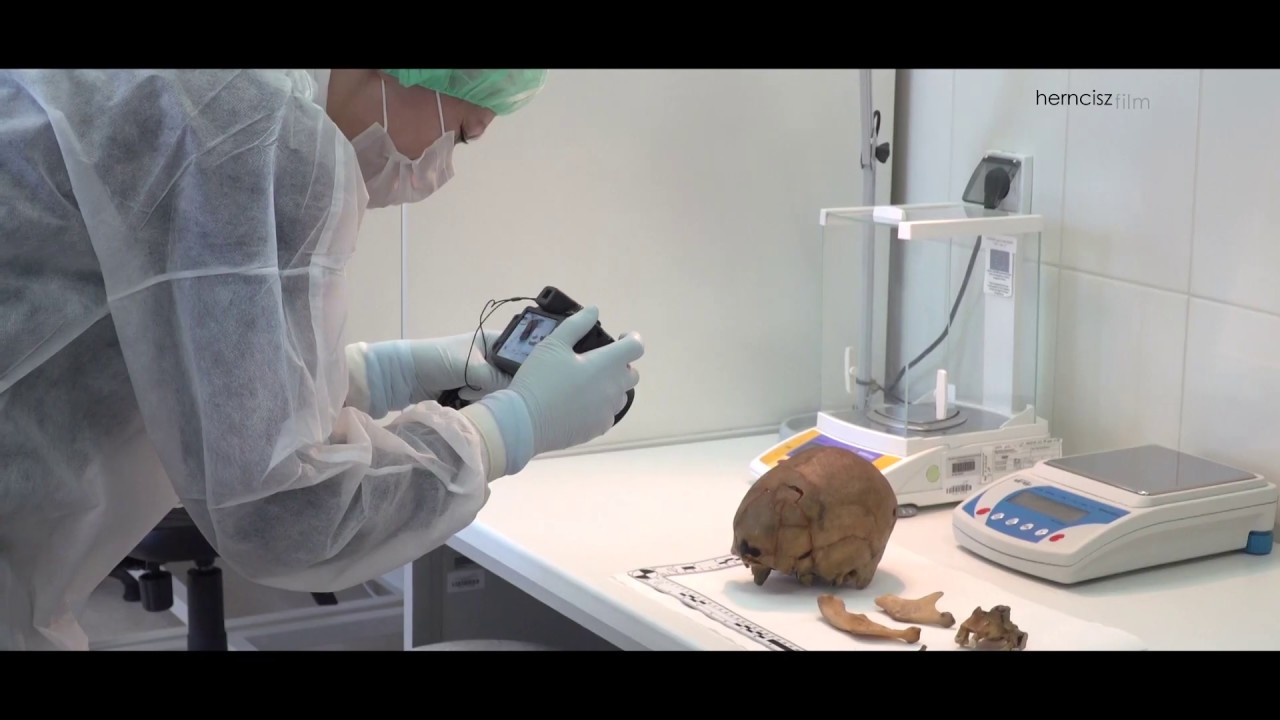 Centralne Laboratorium Kryminalistyczne Policji Praktyki