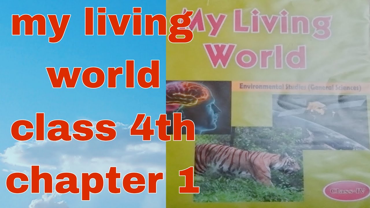 chapter 1 Something to Know of Chapter 1 My body Science My living New English Adventure 1 My Body