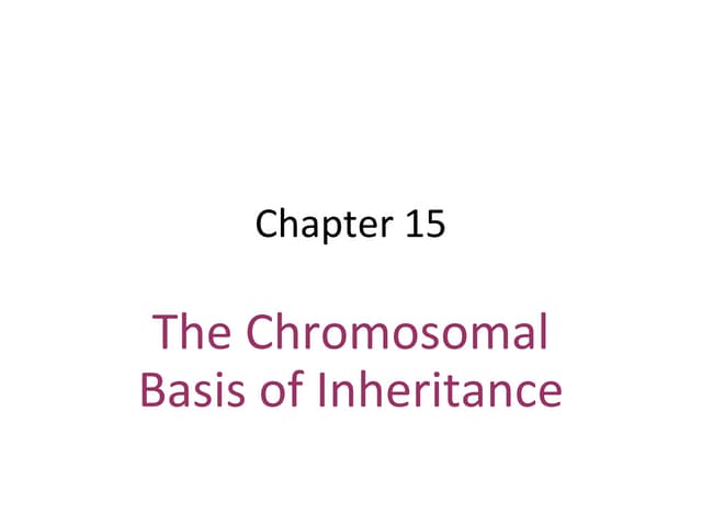 Chapter 15: Chromosomal Basis of Inheritance | PPT Chapter 15 The Chromosomal Basis Of Inheritance Answer Key