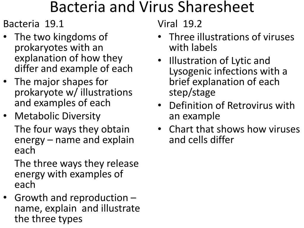 Chapter 19 Bacteria And Viruses Answer Key