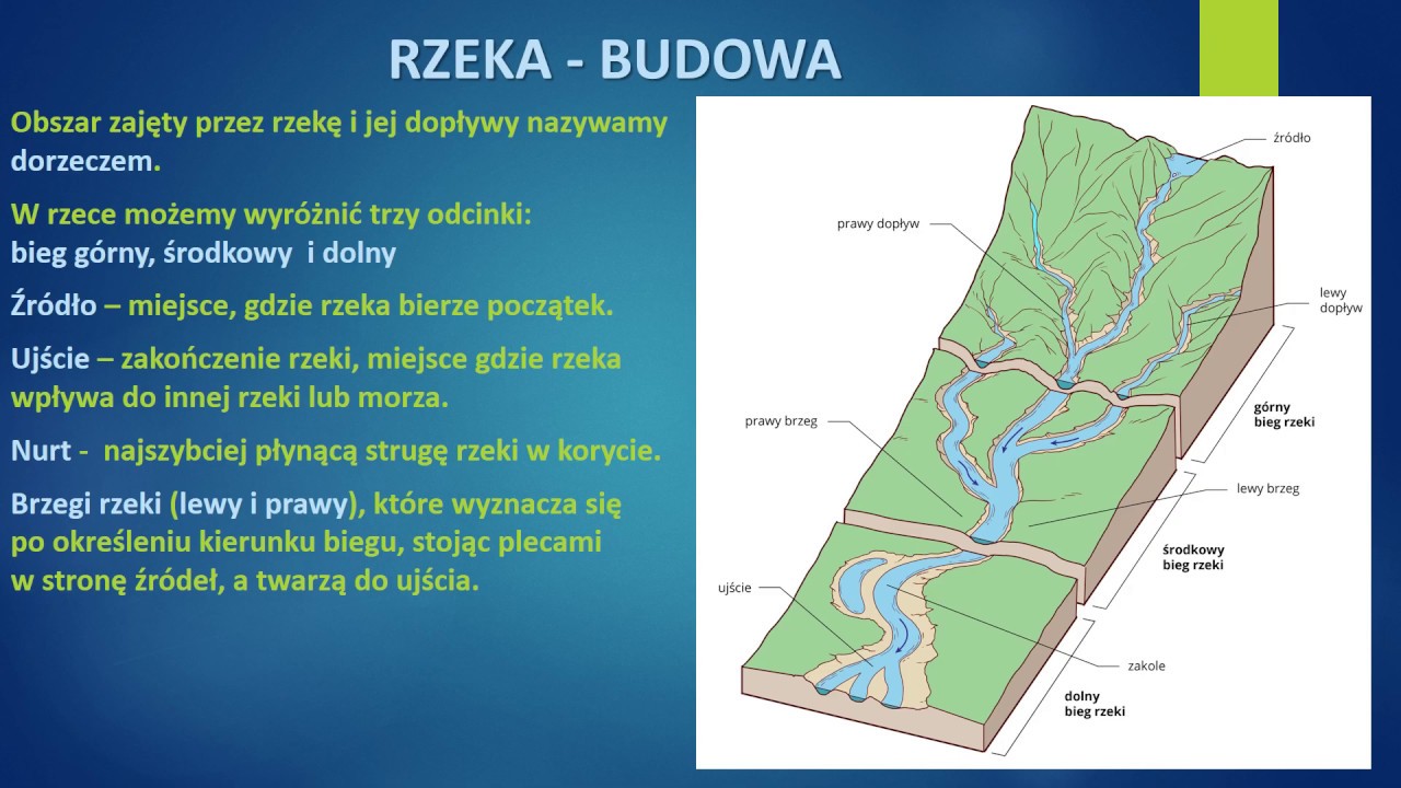 Obszar Z Ktorego Wody Splywaja Doplywami Do Rzeki Glownej