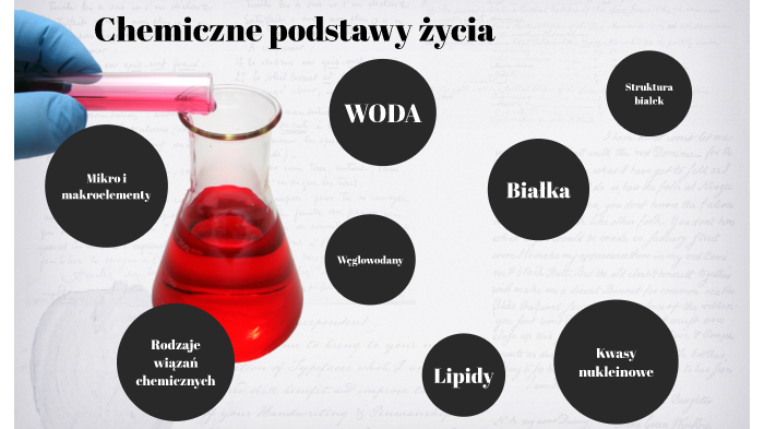 Chemiczne Podstawy Zcia
