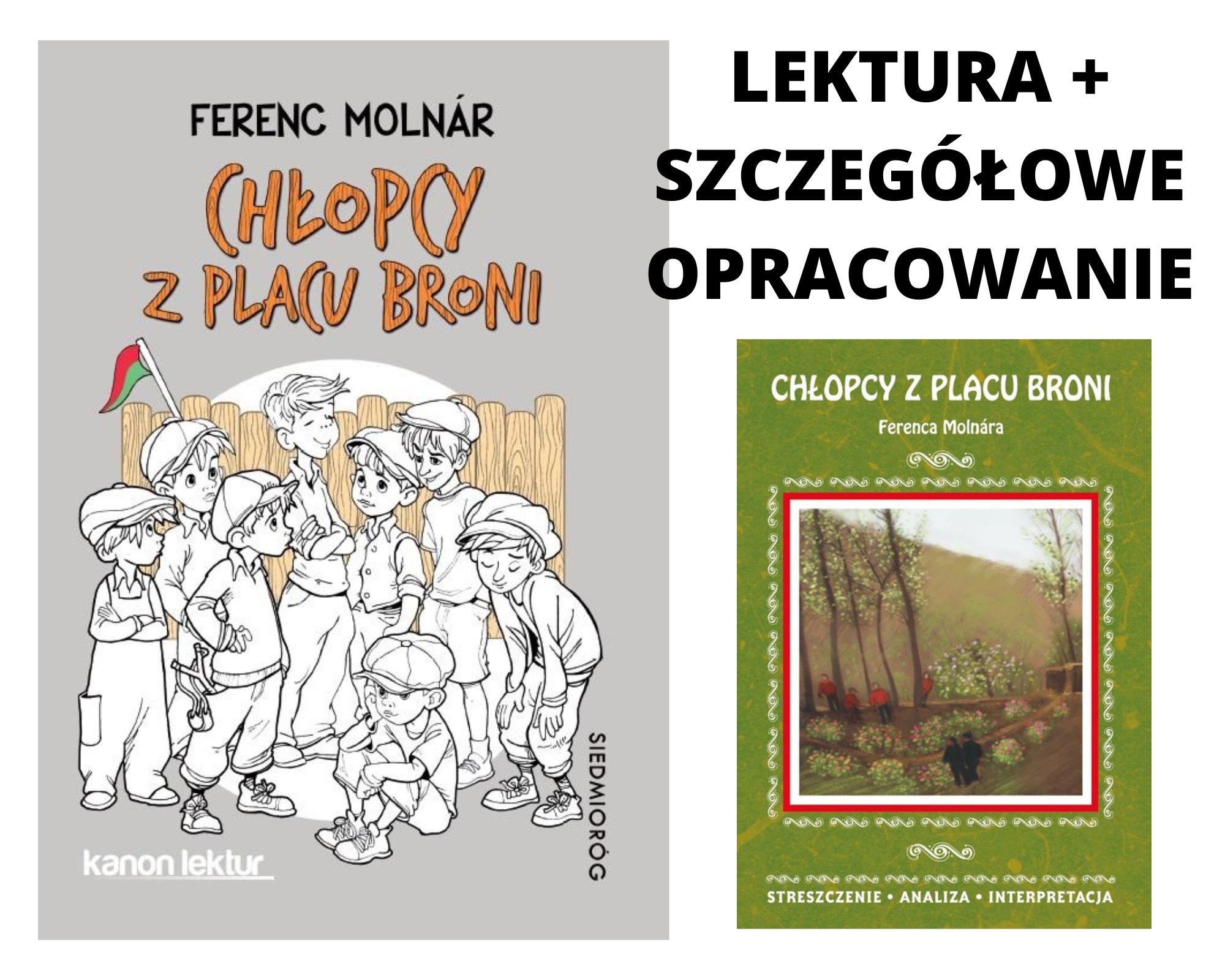 Chłopcy z Placu Broni Ferenc Molnár+ OPRACOWANIE (11909320379 Opracowanie Chlopcy Z Placu Broni