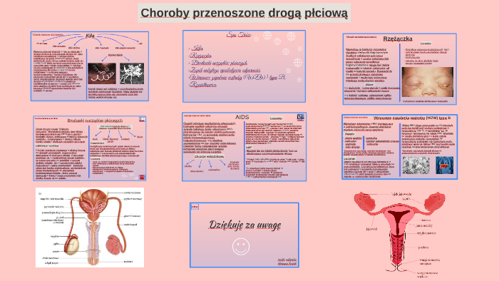 Choroby Przenoszone Przez Gołębie Na Ludzi