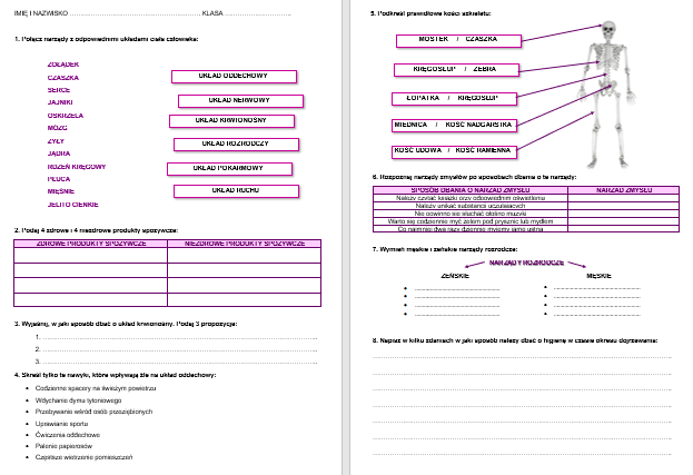 Sprawdzian Z Biologii Organizm Człowieka Skóra Powłoka Organizmu Pdf