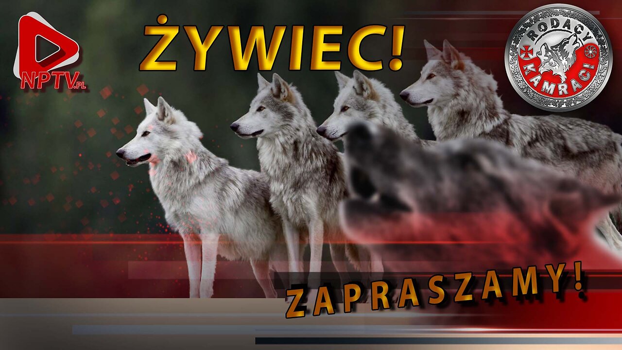 Ciepla Krew Poleje Sie Strugami Tekst