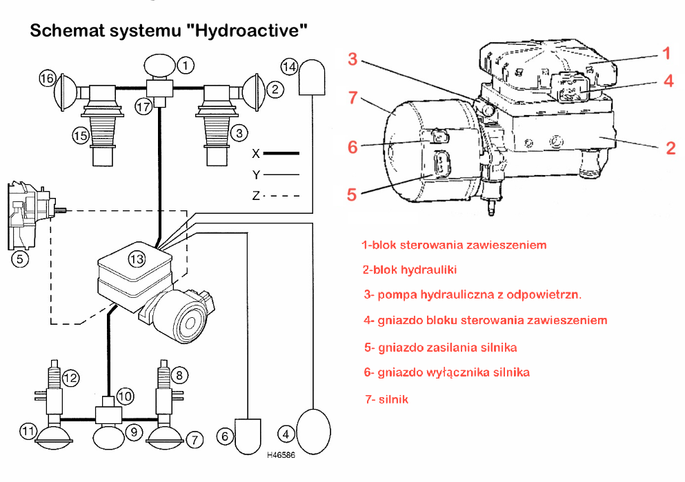 Citroen C5 Wiring Diagram Portugues Partykułę Nie Piszemy łącznie Z