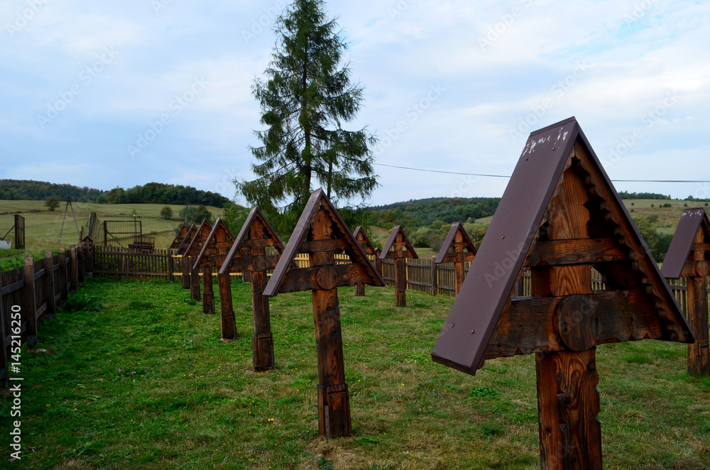 cmentarz z Pierwszej wojny światowej Stock Photo | Adobe Stock Cmentarze Z Pierwszej Wojny światowej