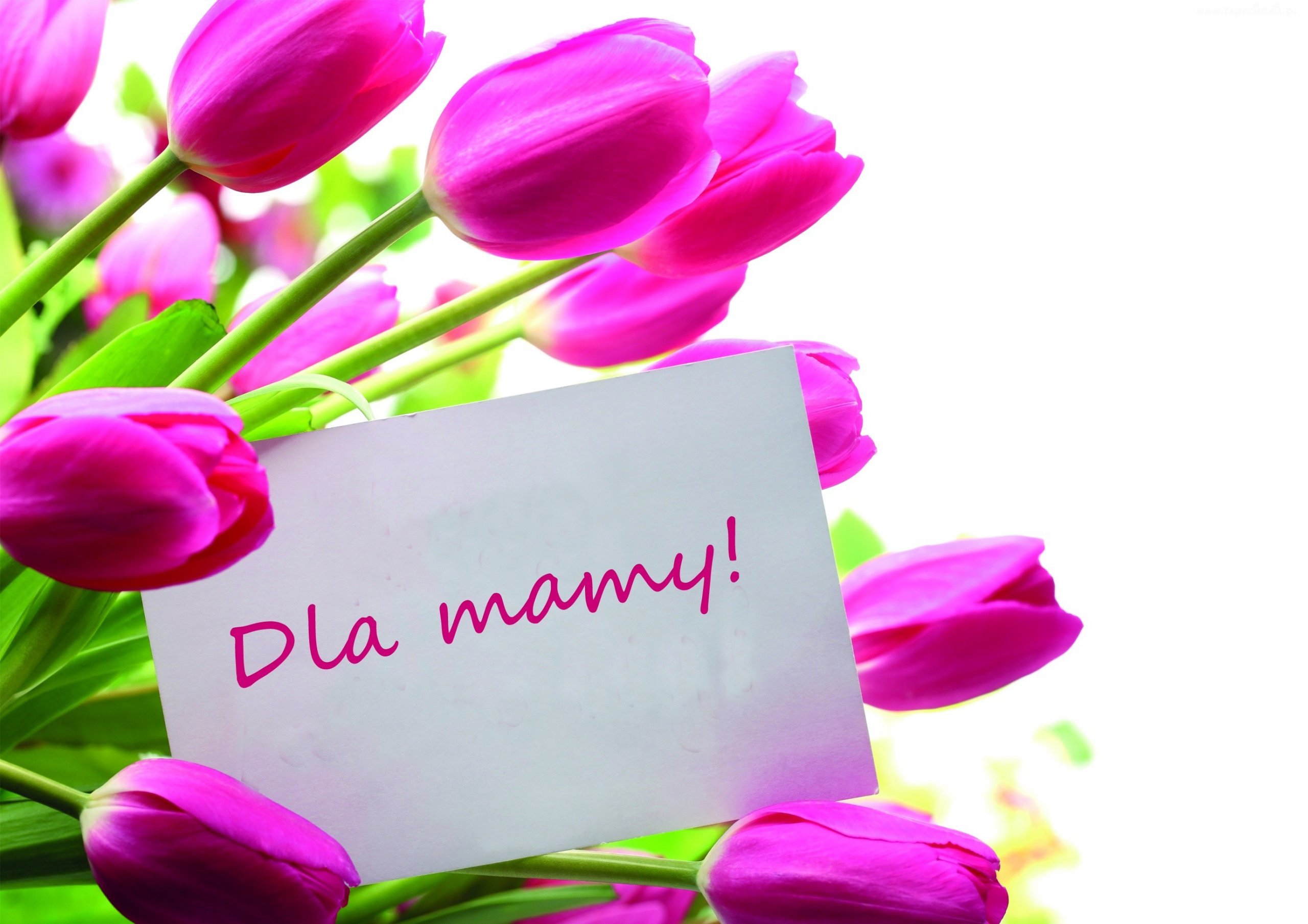 Co Kupic Mamie Na Dzien Mamy