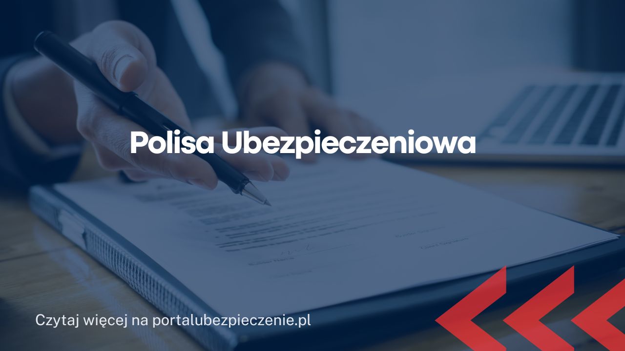 Co obejmuje ubezpieczenie OC Warta? Ile kosztuje polisa? Podwójne Ubezpieczenie Oc Jak Rozwiązać