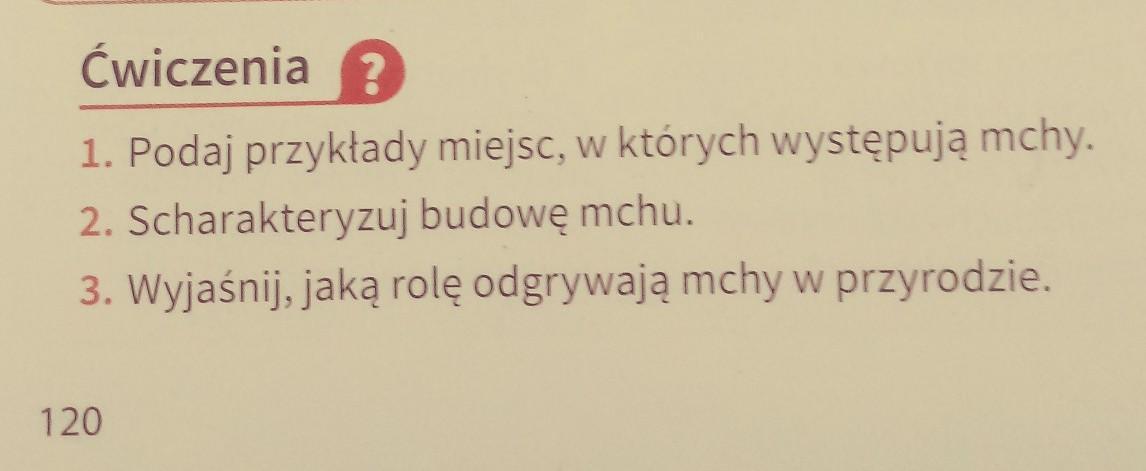 Co To Znaczy Że Mchy Są Organizmami Pionierskimi Co To Znaczy że Mchy Są Organizmami Pionierskimi