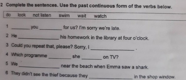 Complete the sentences. Use the past continuous form of the verbs below Complete The Sentences Use The Past Continuous