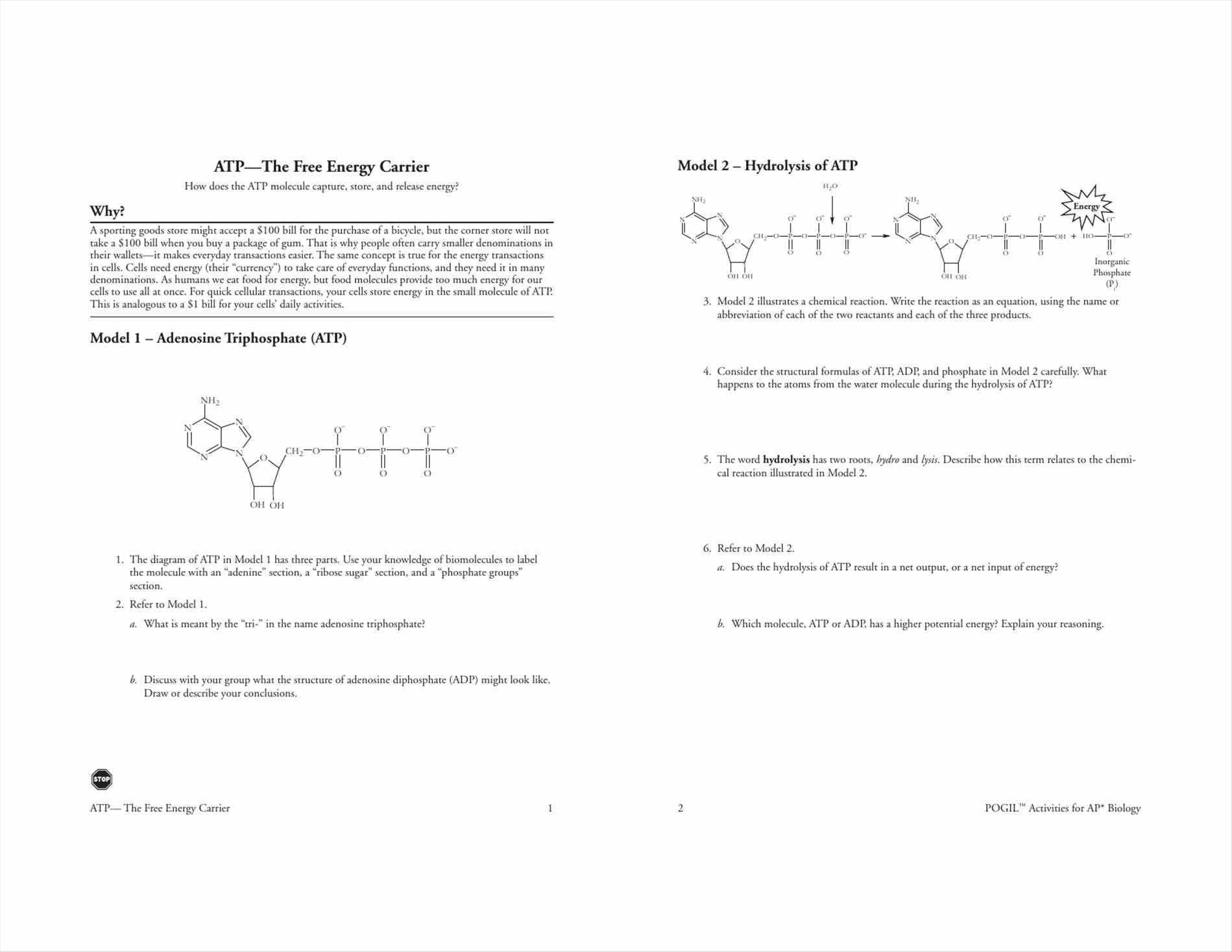 Control Of Gene Expression In Prokaryotes Pogil Answer Key C Pogil Prokaryotic And Eukaryotic Cells Answer Key