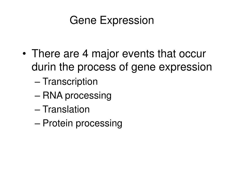 Control Of Gene Expression In Prokaryotes Pogil Answer Key C Control Of Gene Expression Pogil Answer Key