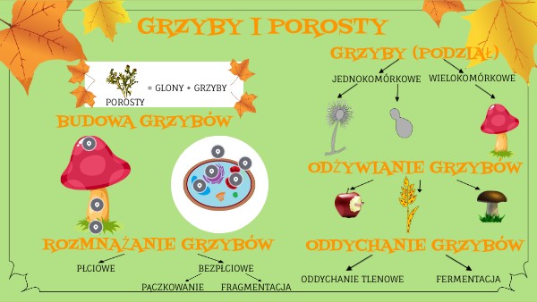 Copy - Klasyfikacja organizmów Podkresl Nazwy Organizmow Ktore Laczy Mikoryza
