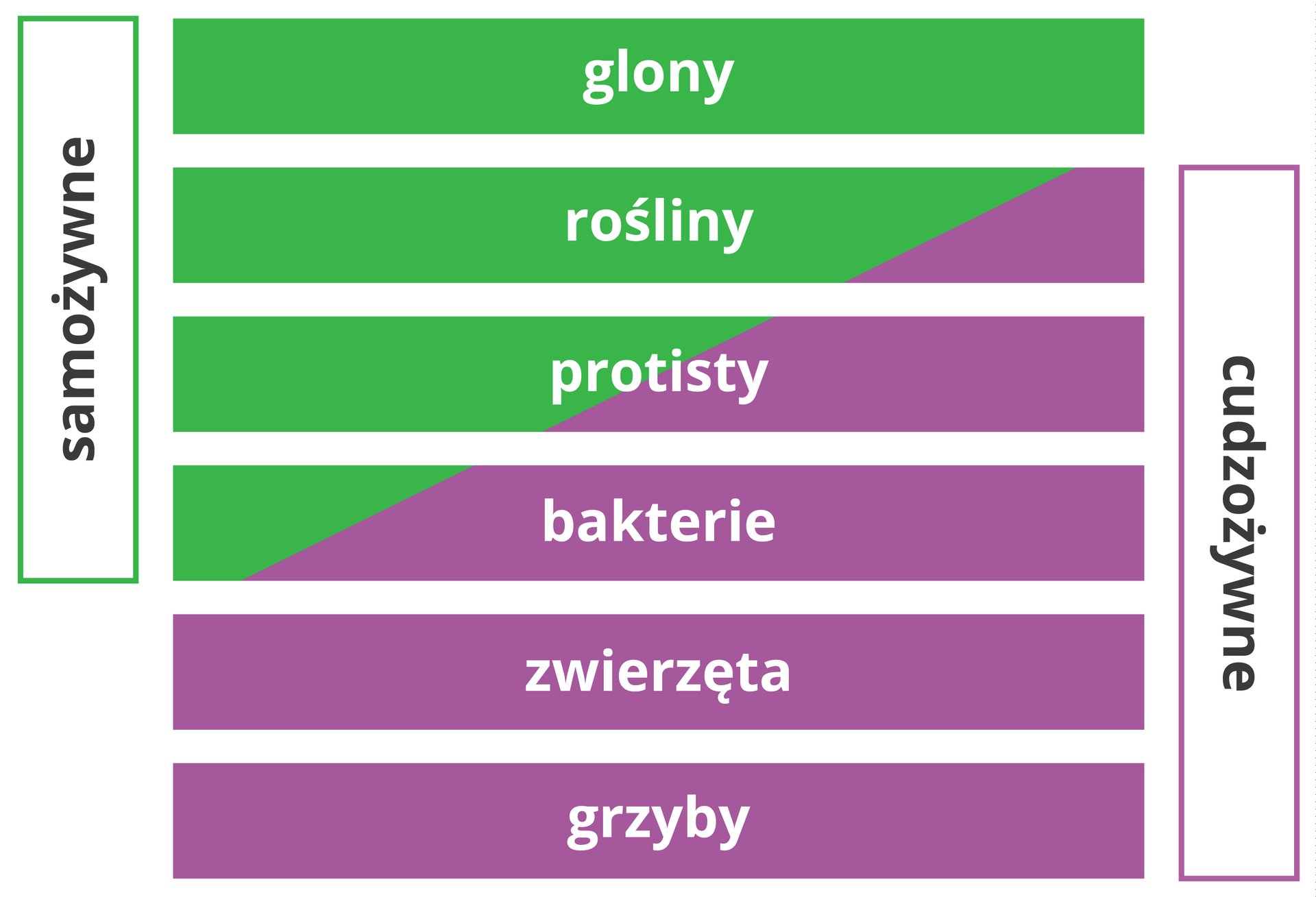 Samozywnosc I Cudzozywnosc Klasa 5
