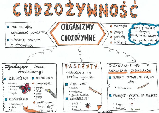 Cudzożywność • Złoty nauczyciel Samozywnosc I Cudzozywnosc Klasa 5