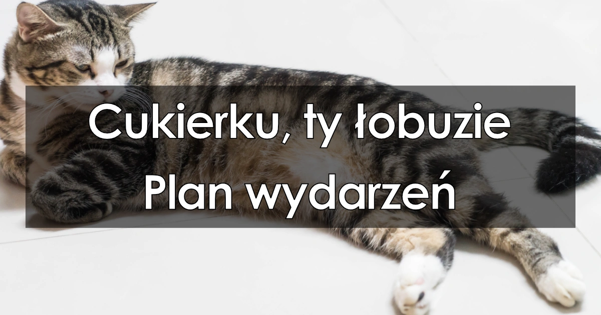 Cukierku Ty Lobuzie Plan Wydarzen